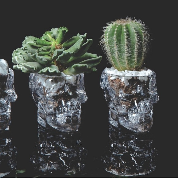 Crystal Head Vodka Skull Shot Glass Set Of 2 - Picture 3 of 3